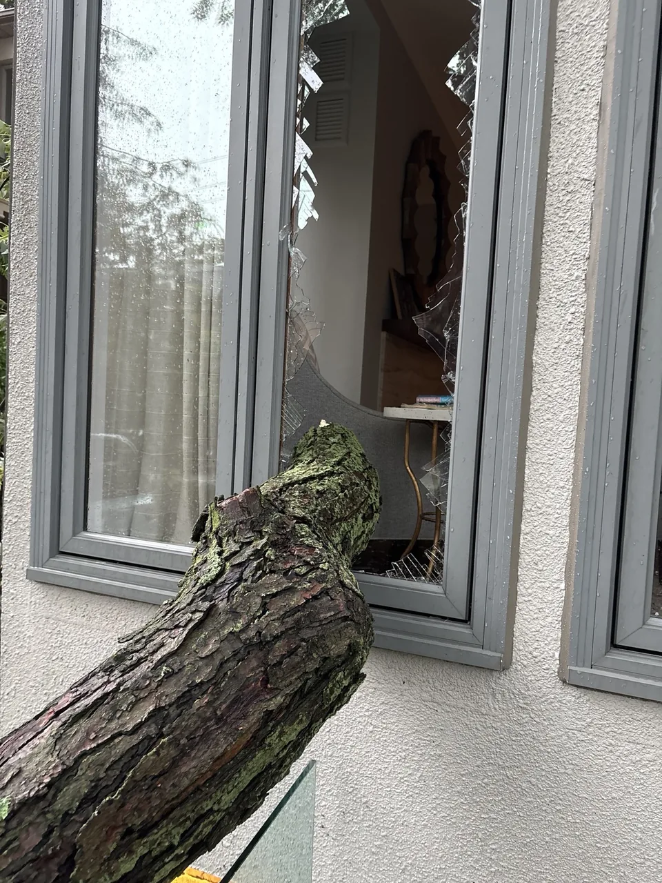 A fallen tree section through broken window glass at a Toronto home before repair